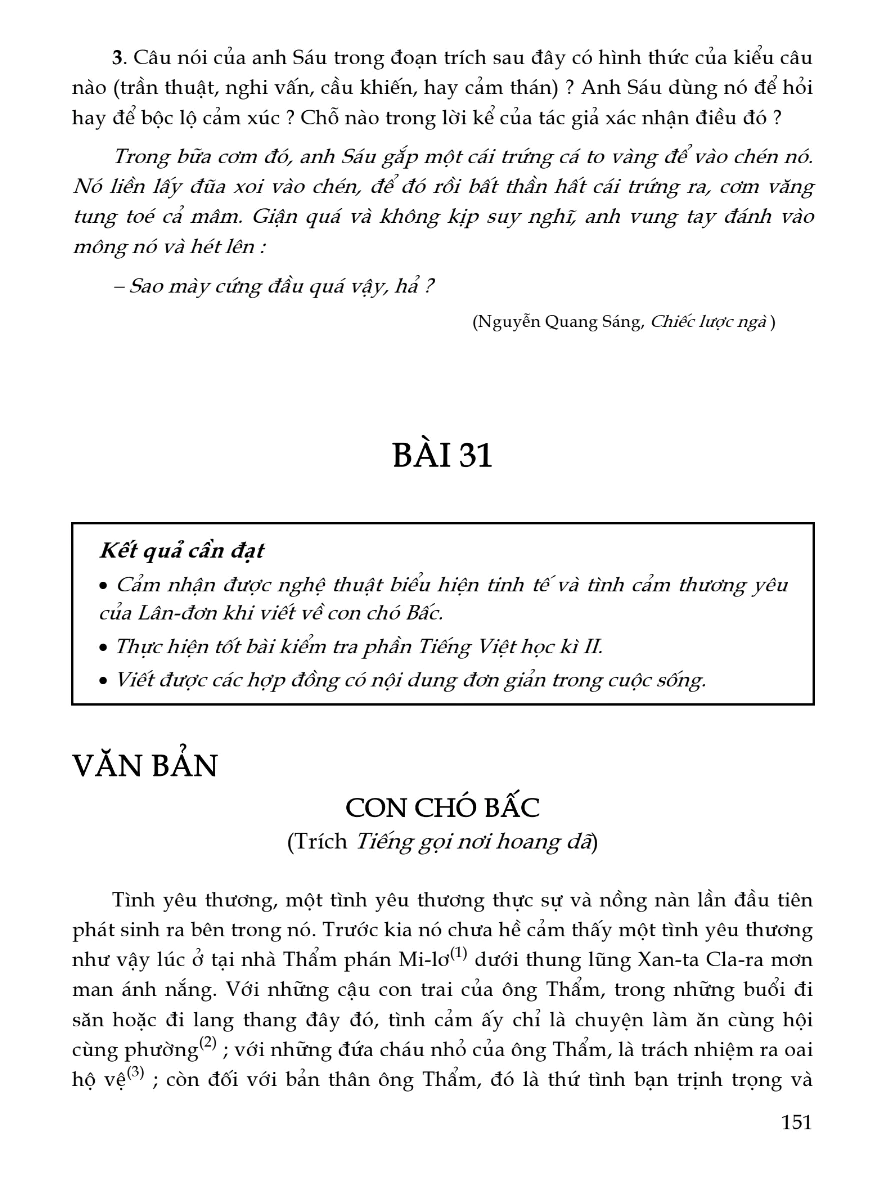 Bài 31