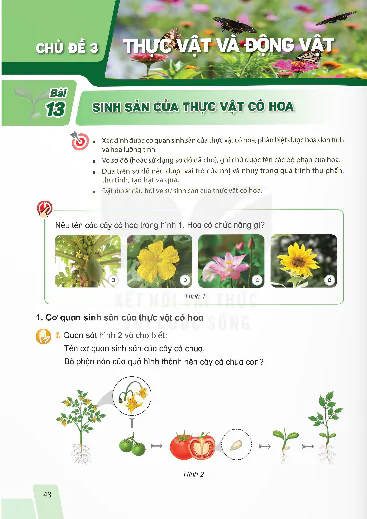 Chủ đề 3. Thực vật và động vật
