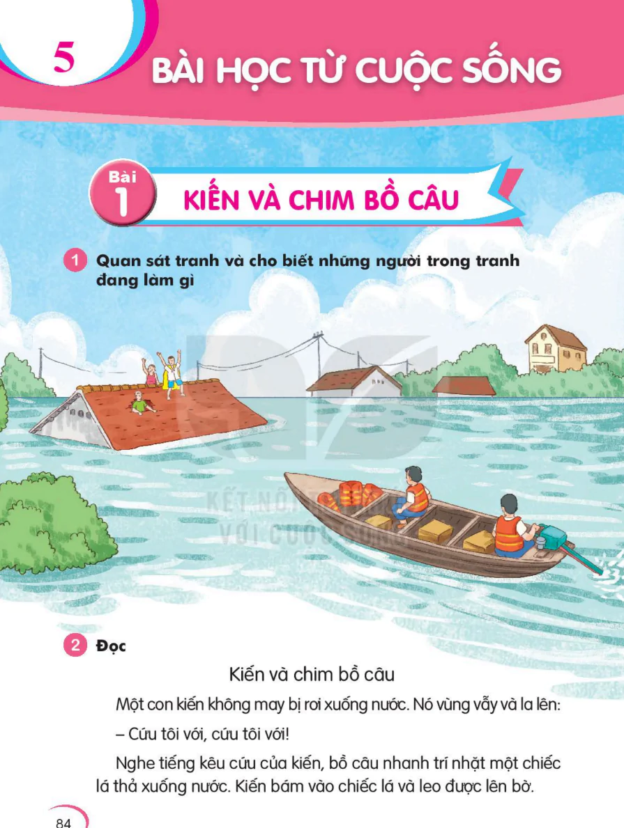 Chủ Đề 5: Bài Học Từ Cuộc Sống