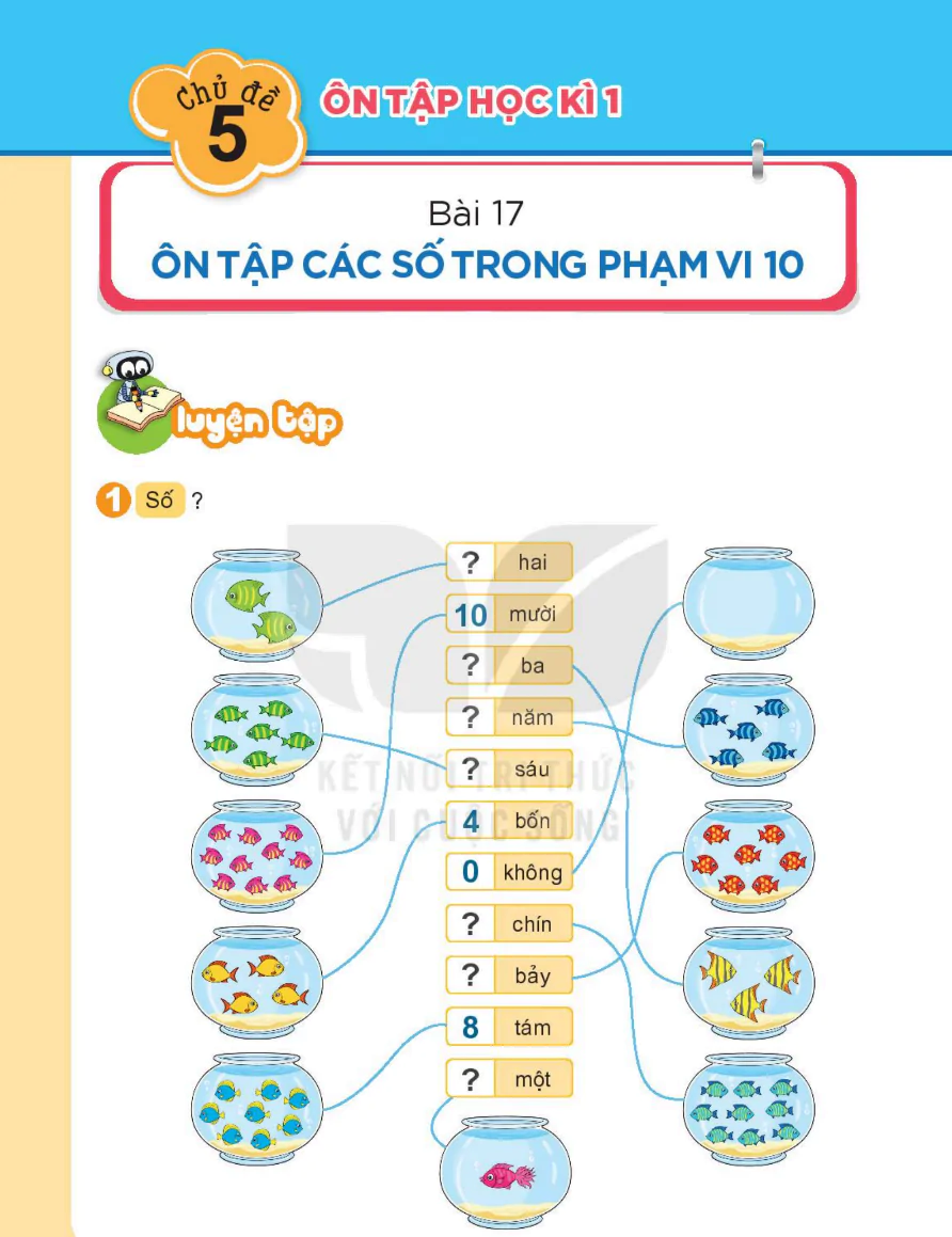 Chủ Đề 5: Ôn Tập Học Kì I