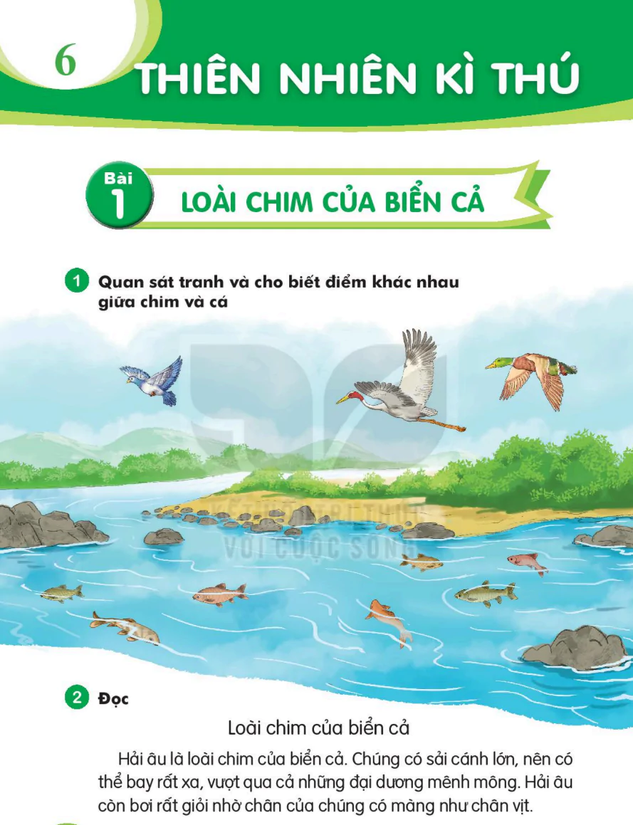 Chủ Đề 6: Thiên Nhiên Kì Thú