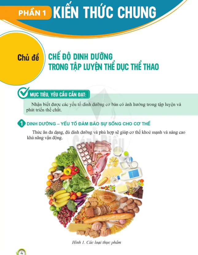 Phần 1: KIẾN THỨC CHUNG