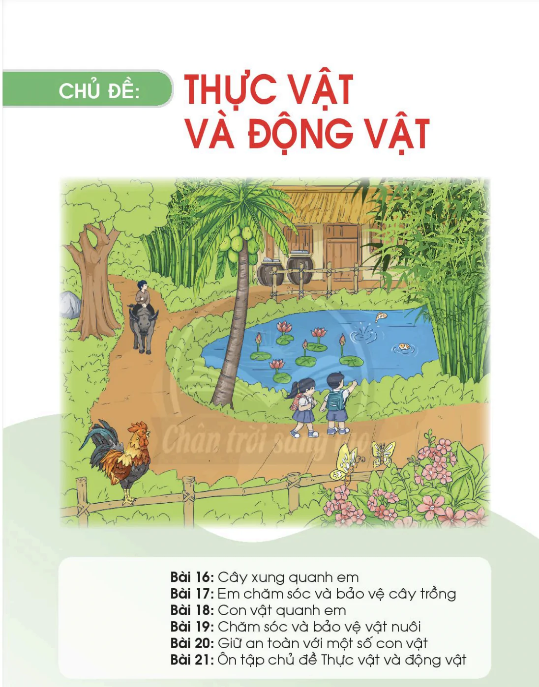 Chủ đề: Thực vật và Động vật