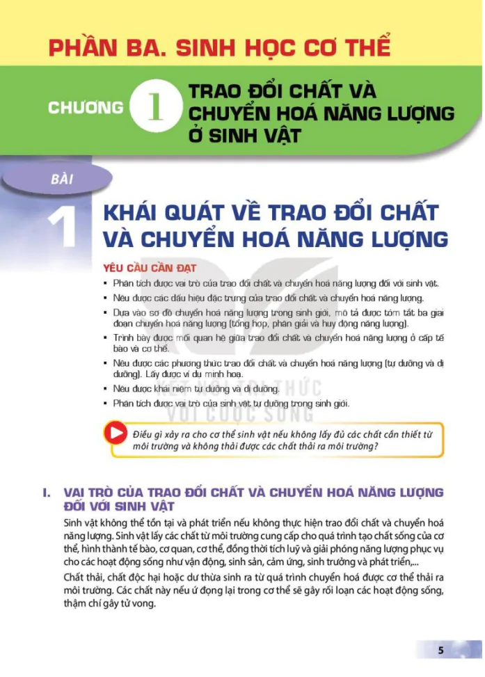 Chương 1: Trao Đổi Chất Và Chuyển Hóa Năng Lượng Ở Sinh Vật