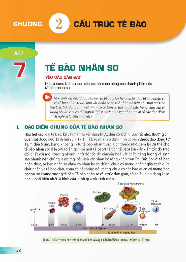 Chương 2: Cấu Trúc Tế Bào