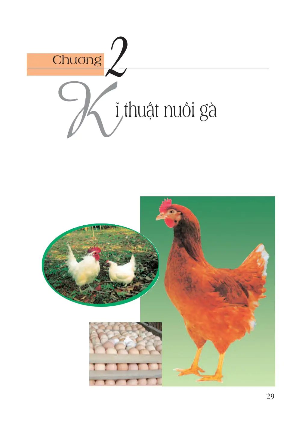 Chương 2. Kĩ thuật nuôi gà