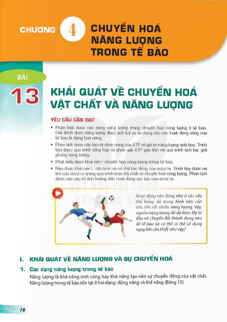 Chương 4: Chuyển Hóa Năng Lượng Trong Tế Bào