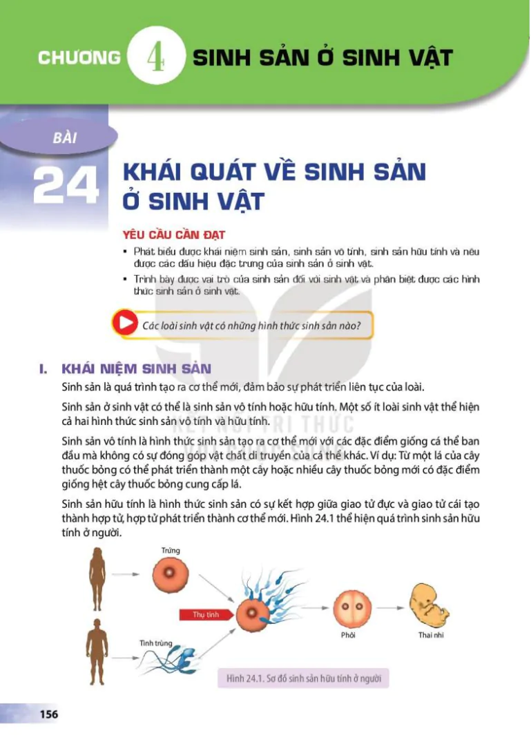 Chương 4: Sinh Sản Ở Sinh Vật