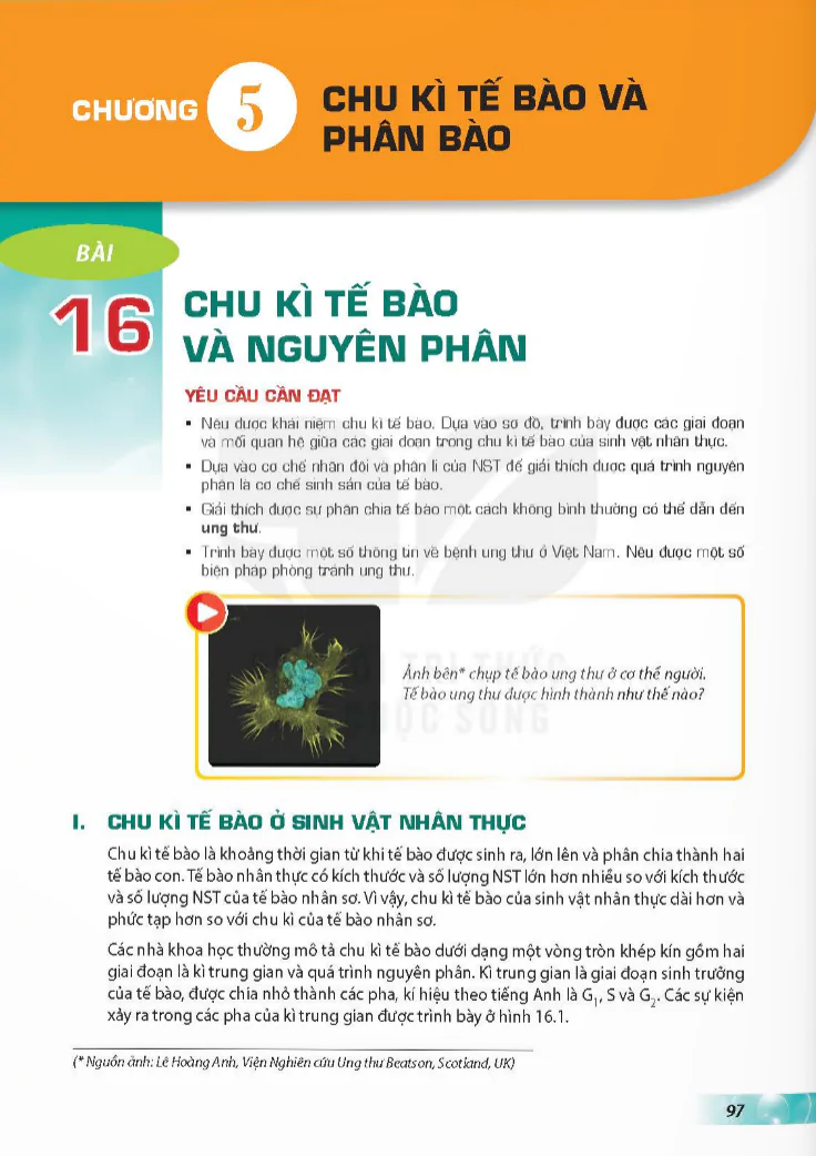 Chương 5: Chu kì tế bào và phân bào
