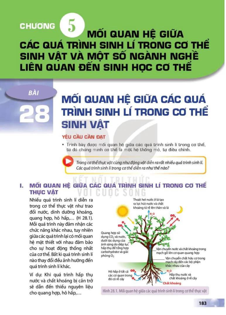 Chương 5: Mối Quan Hệ Giữa Các Quá Trình Sinh Lí Trong Cơ Thể Sinh Vật Và Một Số Ngành Nghề Liên Quan Đến Sinh Học Cơ Thể