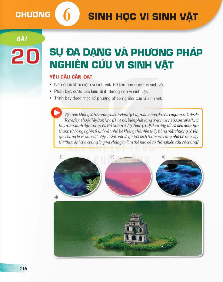 Chương 6: Sinh Học Vi Sinh Vật