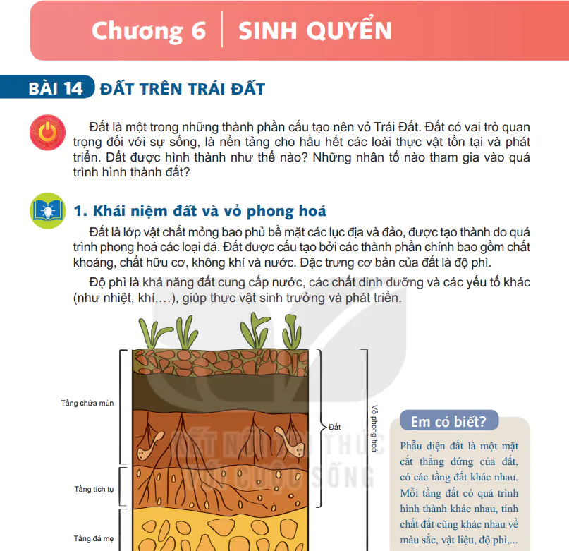 Phần Hai - Chương 6: Sinh Quyển