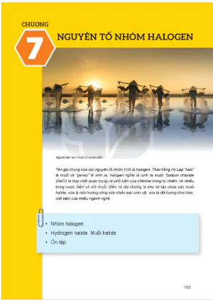 Chương 7: Nguyên tố nhóm halogen