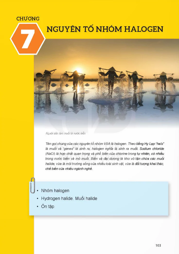 Chương 7: Nguyên Tố Nhóm Halogen