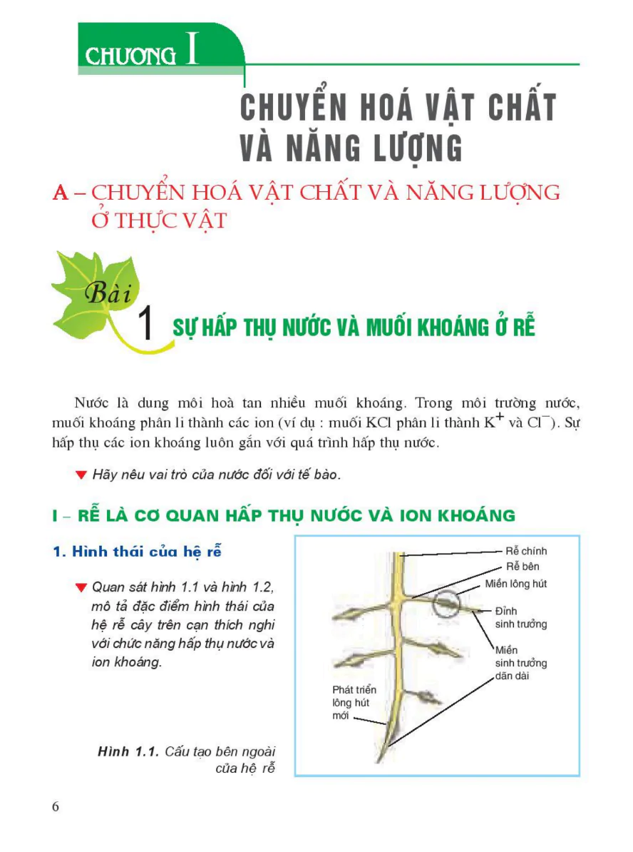 Chương I: Chuyển Hóa Vật Chất Và Năng Lượng