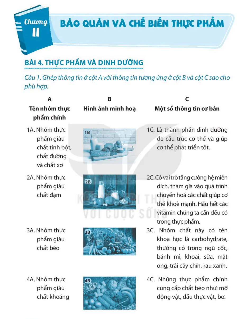 Chương II: Bảo Quản Và Chế Biến Thực Phẩm