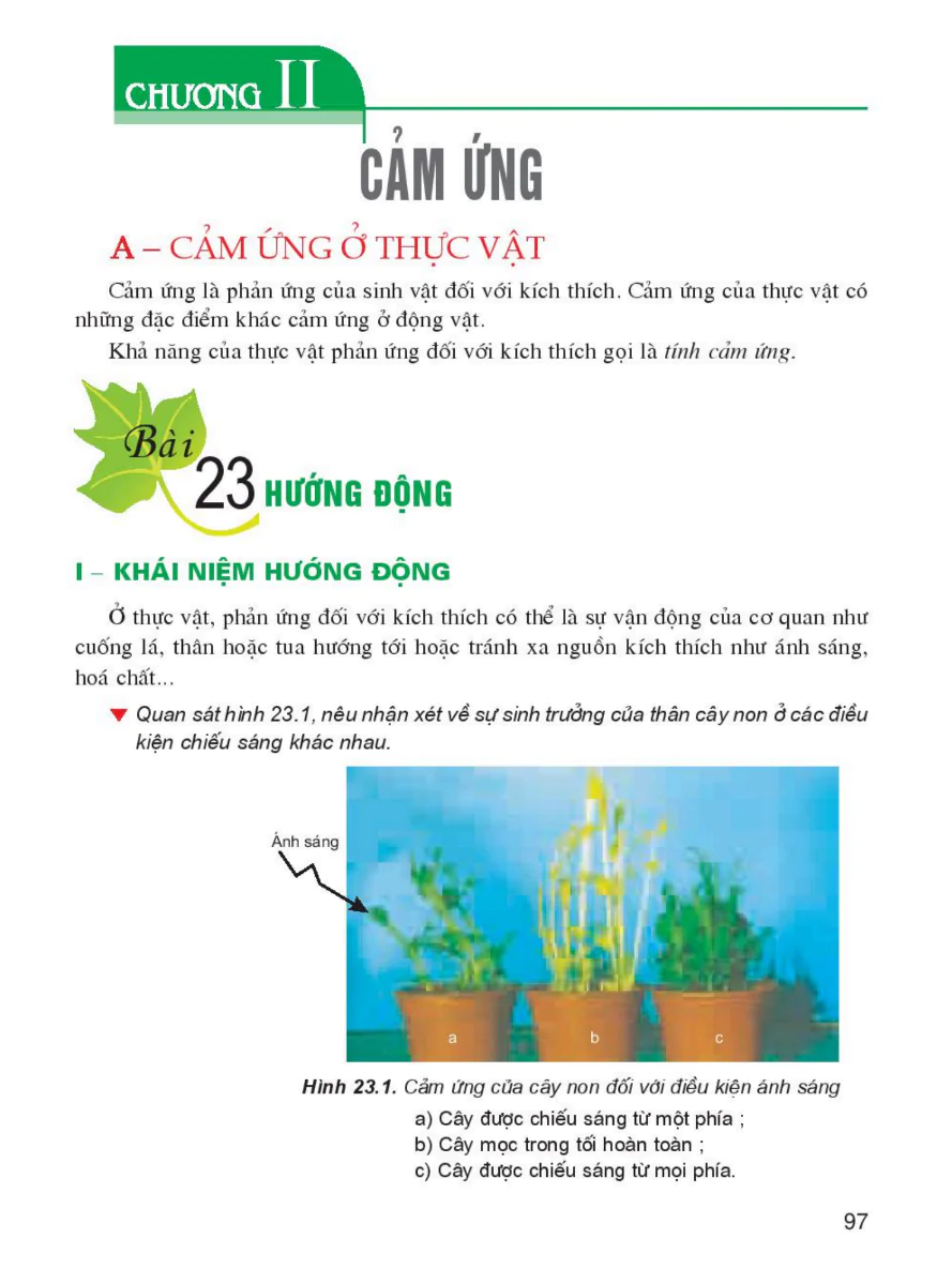 Chương II: Cảm Ứng
