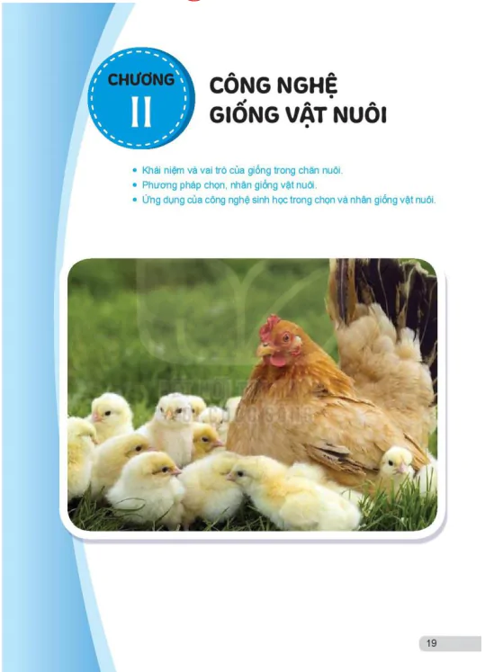 Chương II: Công nghệ giống vật nuôi