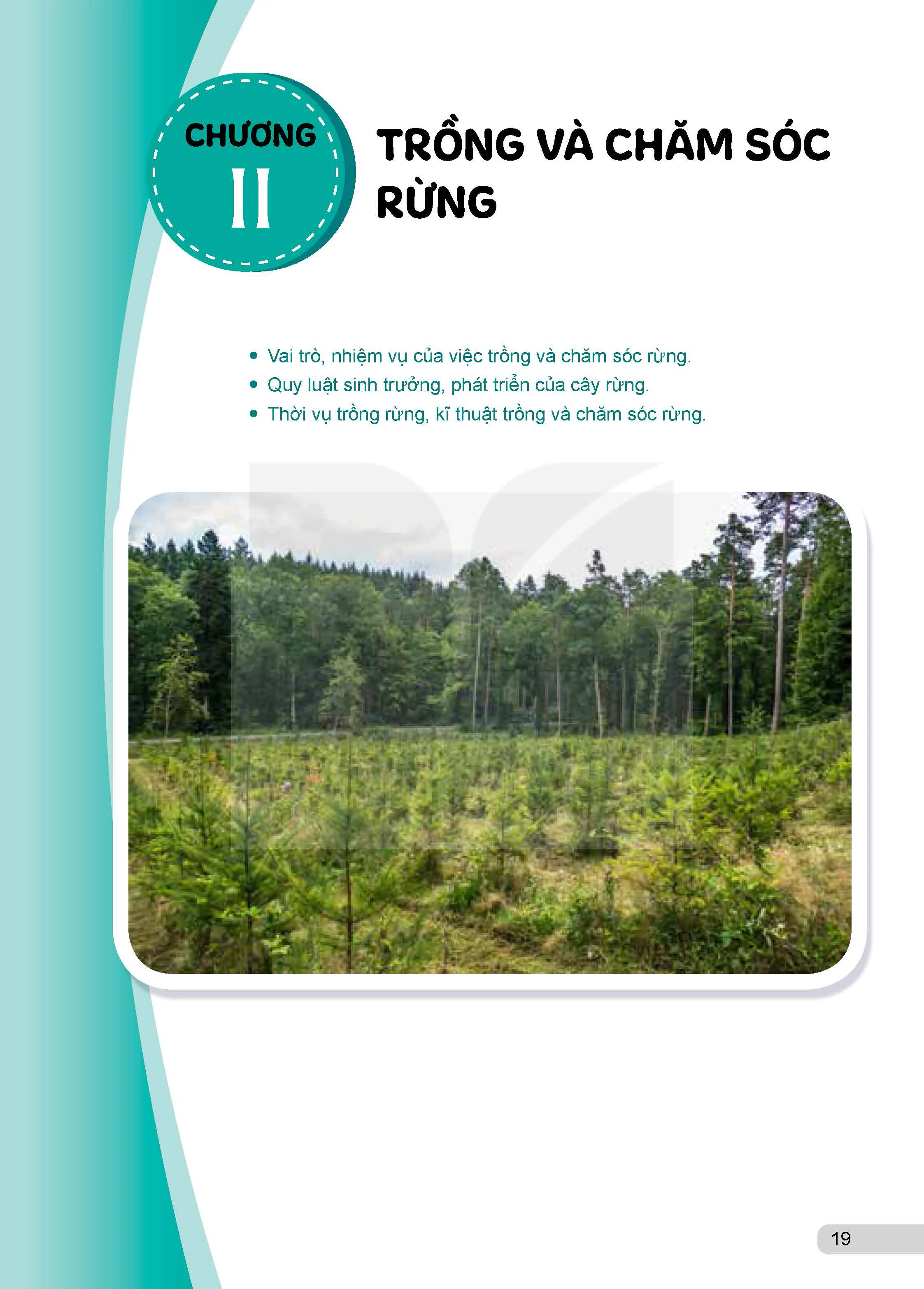 Chương II. Trồng và chăm sóc rừng