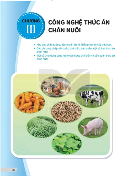 Chương III: Công nghệ thức ăn chăn nuôi