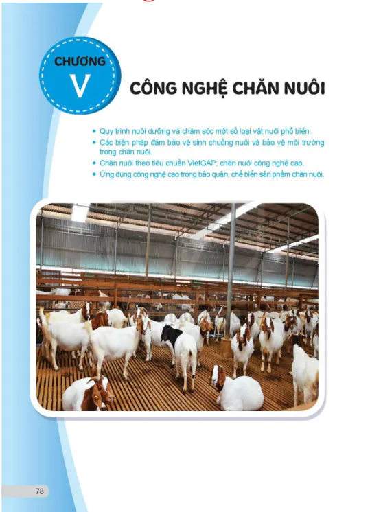 Chương V: Công nghệ chăn nuôi 