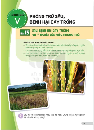 Chương V: Phòng trừ sâu, bệnh hại cây trồng