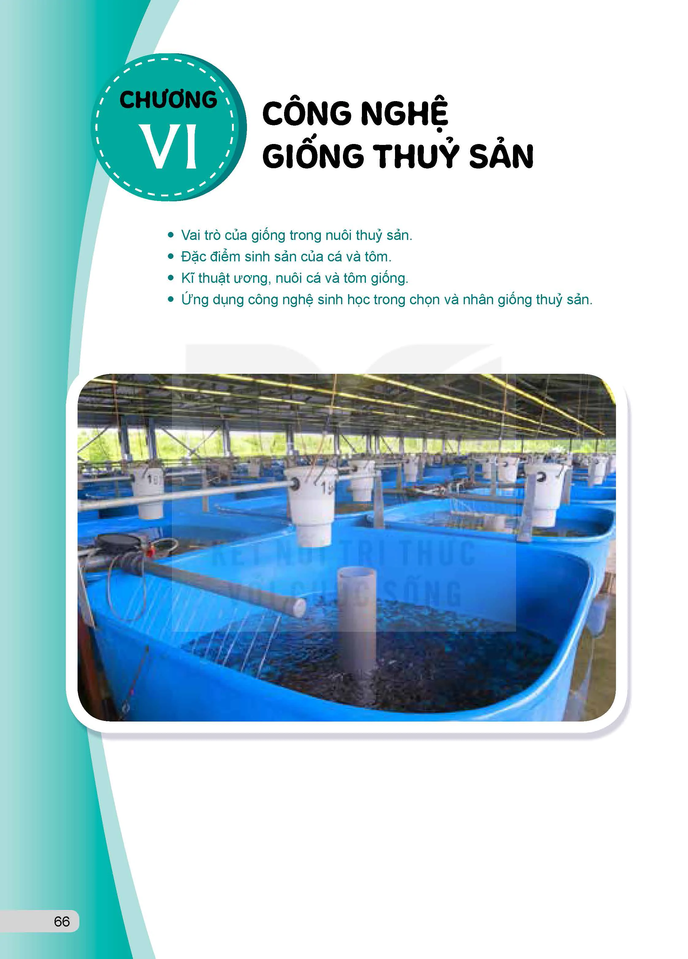 Chương VI. Công nghệ giống thủy sản