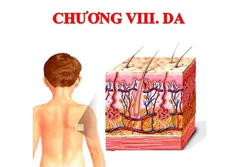 CHƯƠNG VIII. DA
