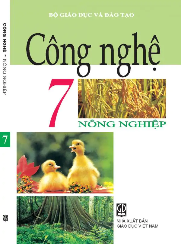 Công Nghệ 7