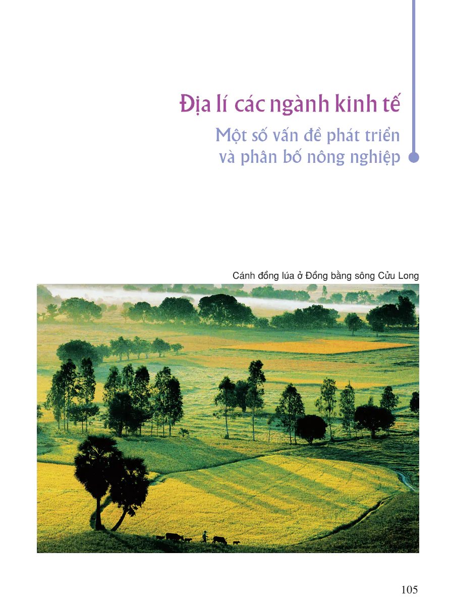 Địa Lý Các Ngành Kinh Tế - Địa lý Nâng cao