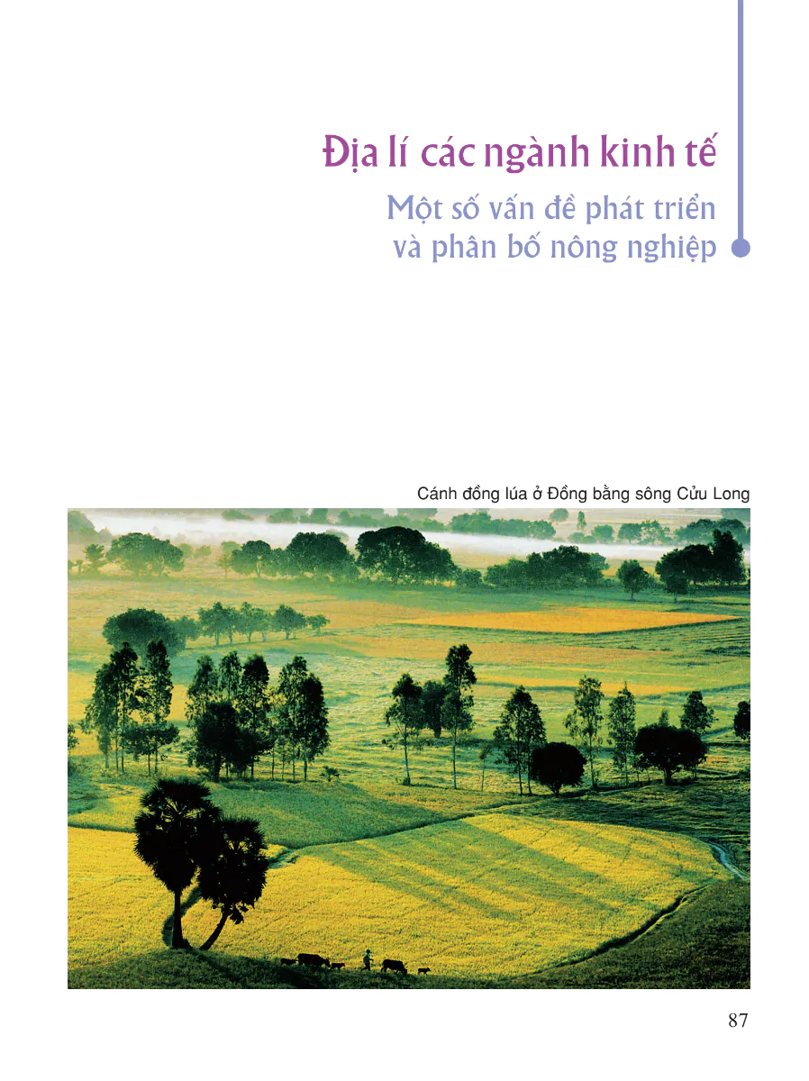 Địa Lý Các Ngành Kinh Tế