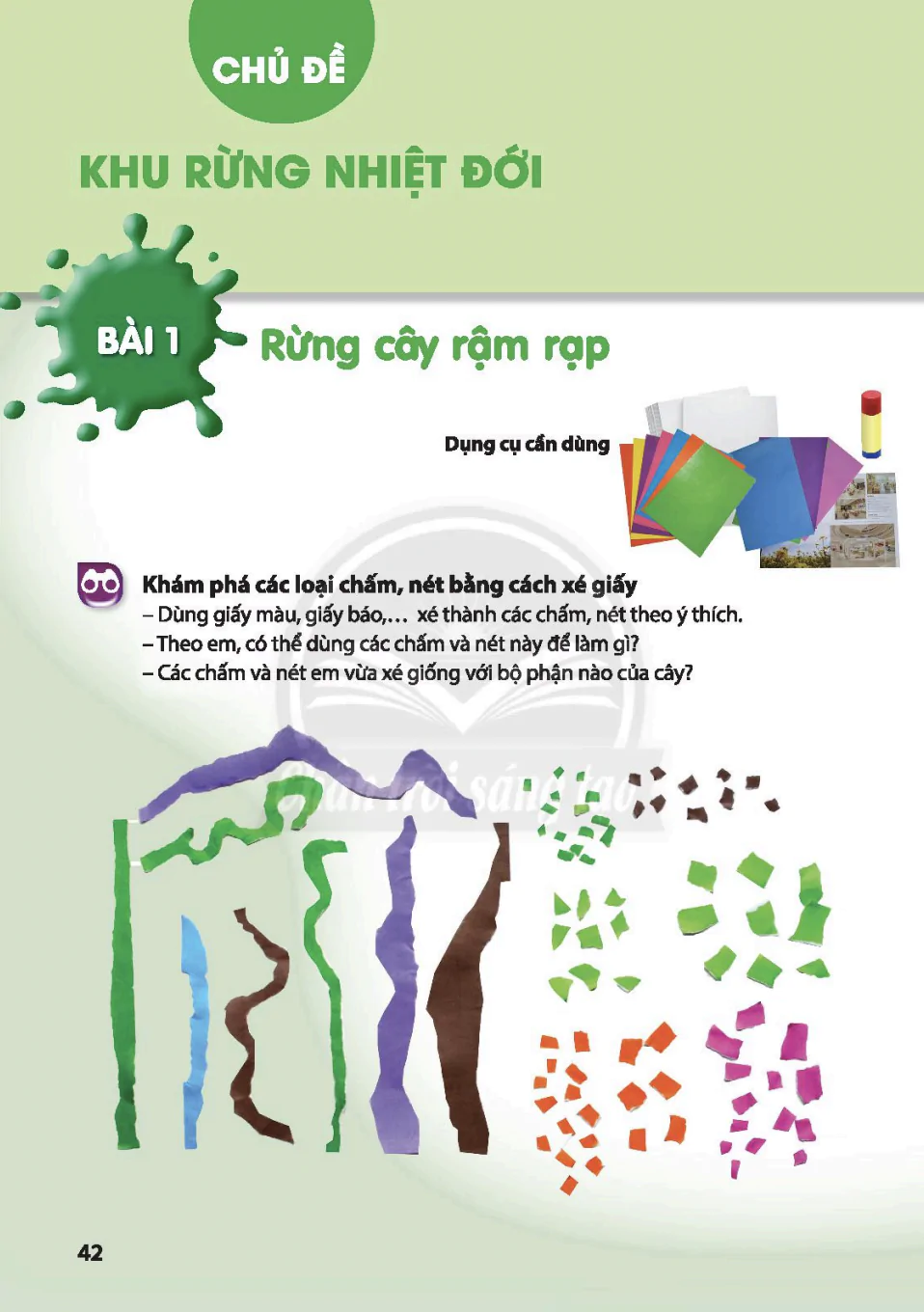  Khu rừng nhiệt đới