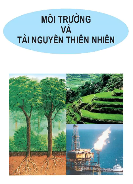 Môi trường và tài nguyên