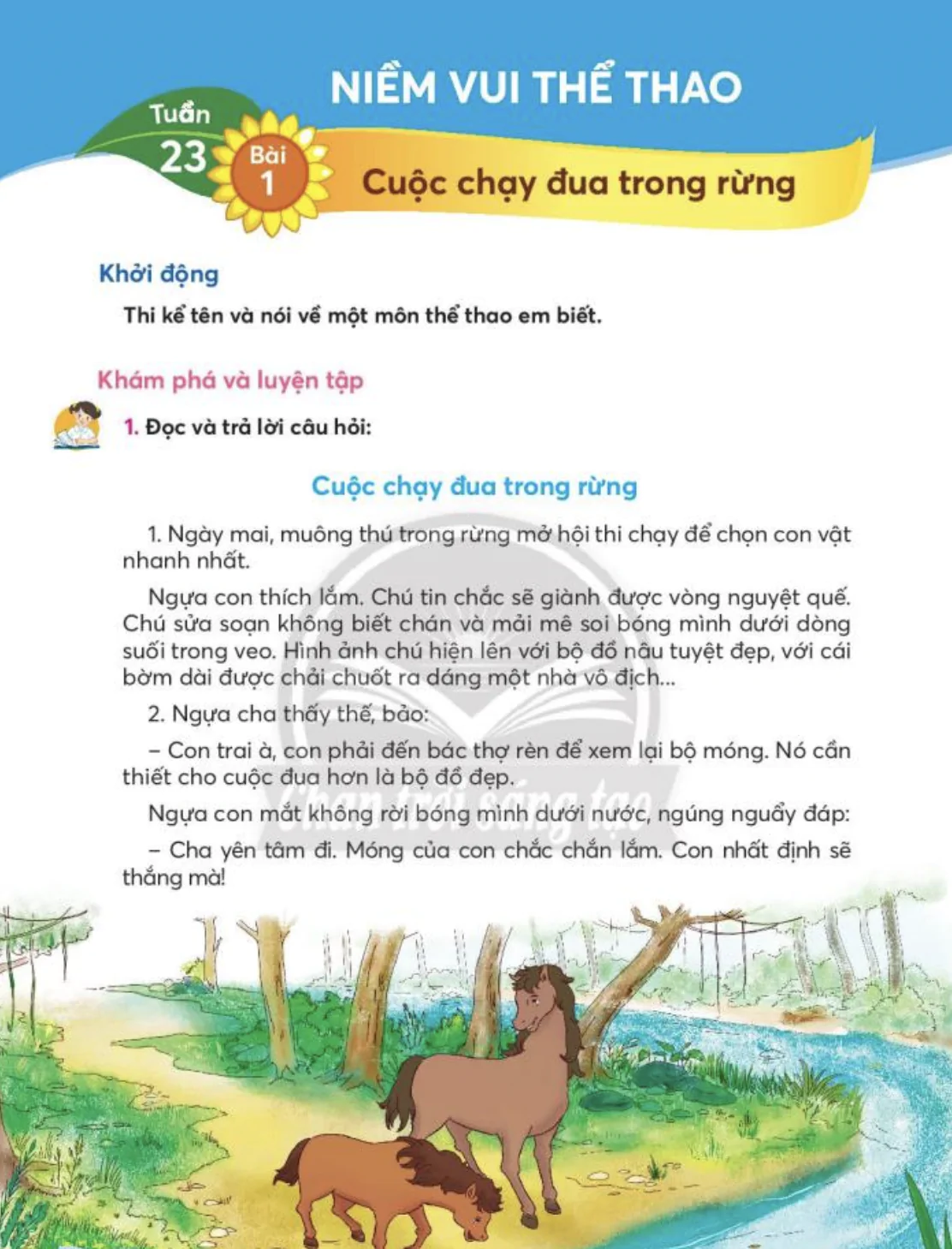 Niềm vui thể thao_Tuần 23