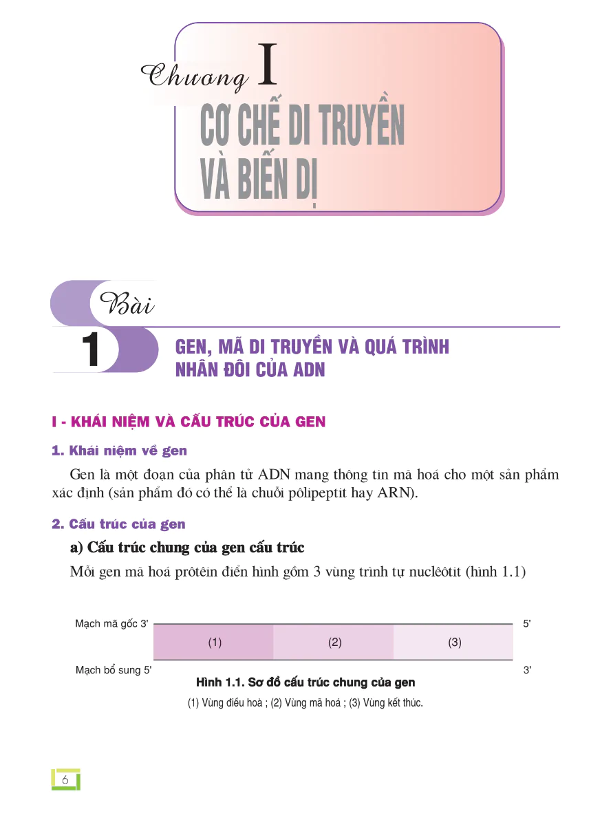 Phần 5 - Chương 1: Cơ Chế Di Truyền Và Biến Dị