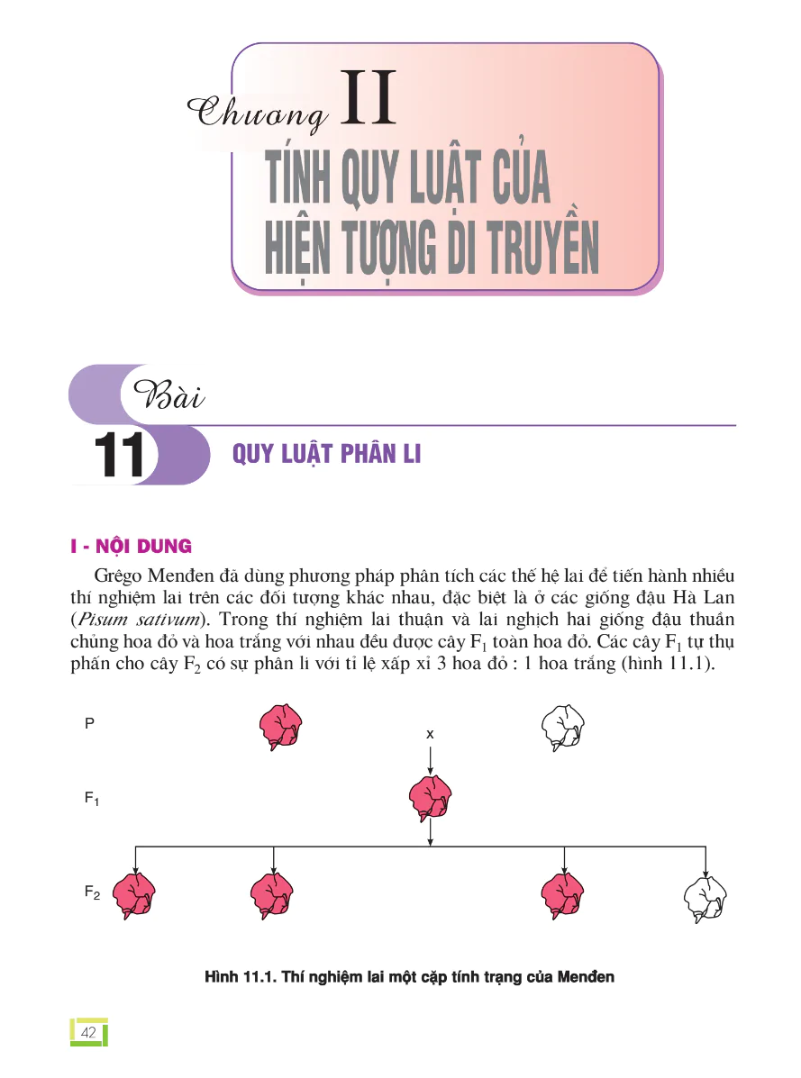Phần 5 - Chương 2: Tính Quy Luật Của Hiện Tượng Di Truyền