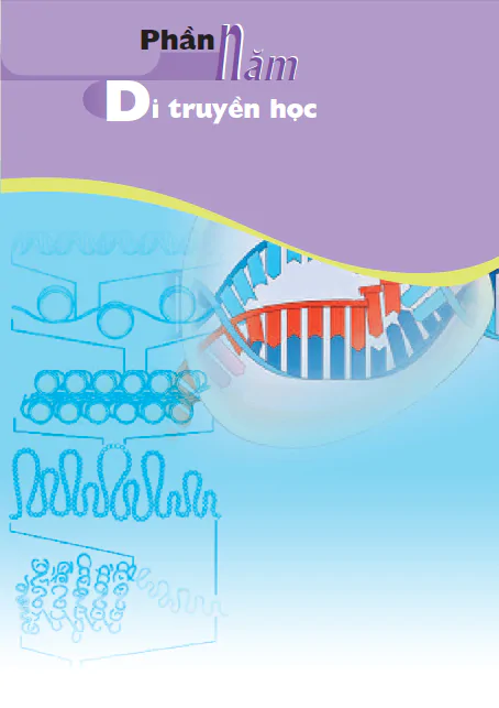 PHẦN 5. DI TRUYỀN HỌC - CHƯƠNG IV. ỨNG DỤNG DI TRUYỀN HỌC