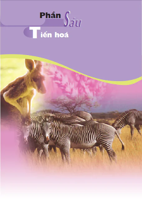 PHẦN 6. TIẾN HÓA - CHƯƠNG I. BẰNG CHỨNG TIẾN HÓA