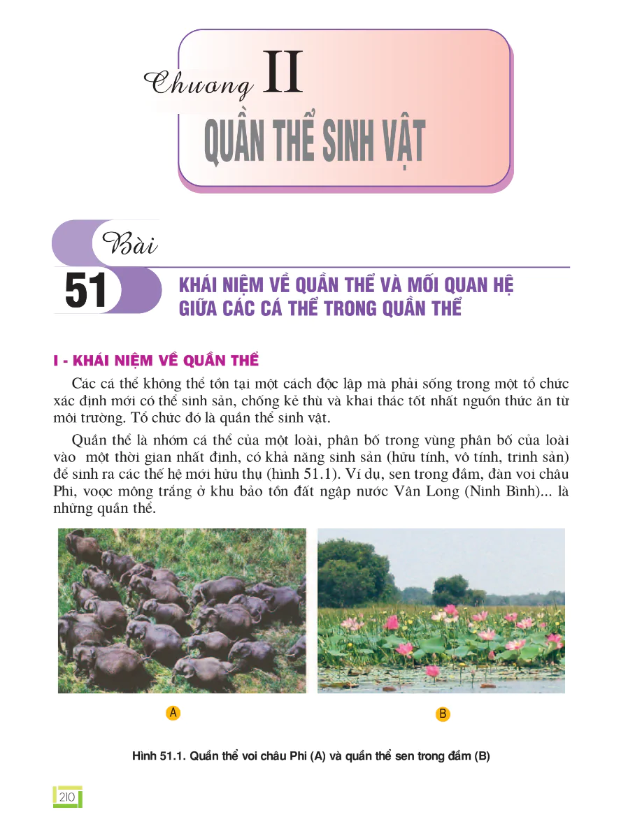 Phần 7 - Chương 2: Quần Thể Sinh Vật