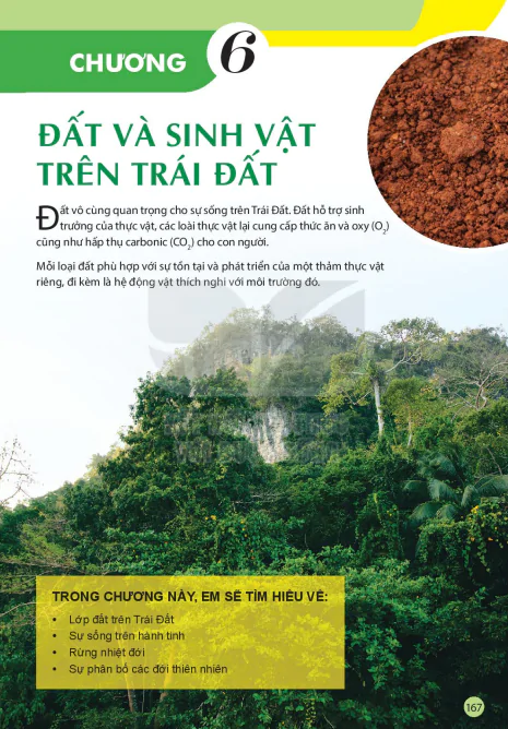 Phần Địa Lí - Chương 6: ĐẤT VÀ SINH VẬT TRÊN TRÁI ĐẤT