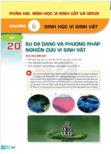 Phần hai: Sinh học vi sinh vật và virus - Chương 6: Sinh học vi sinh vật