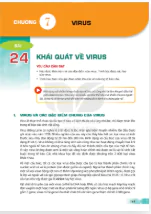 Phần hai: Sinh học vi sinh vật và virus - Chương 7: Virus 