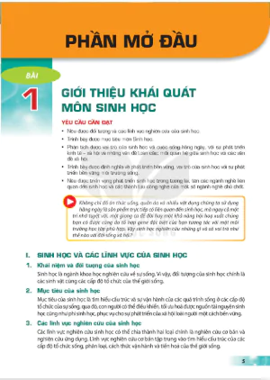 Phần đầu