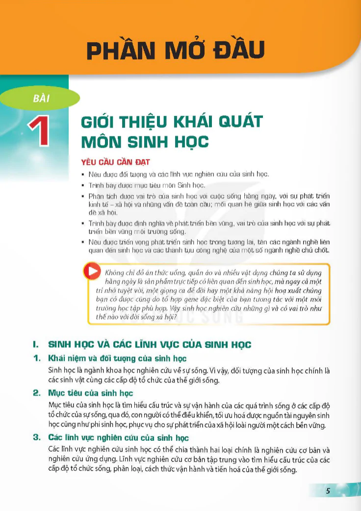 Phần mở đầu