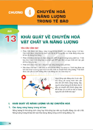 Phần một: Sinh học tế bào - Chương 4: Chuyển hóa năng lượng trong tế bào