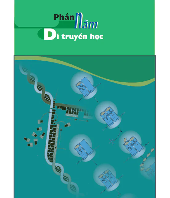 PHẦN NĂM. DI TRUYỀN HỌC - CHƯƠNG V. DI TRUYỀN HỌC NGƯỜI
