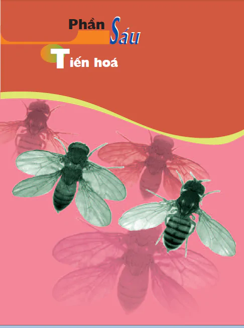 PHẦN SÁU. TIẾN HÓA - CHƯƠNG II. SỰ PHÁT SINH VÀ PHÁT TRIỂN CỦA SỰ SỐNG TRÊN TRÁI ĐẤT