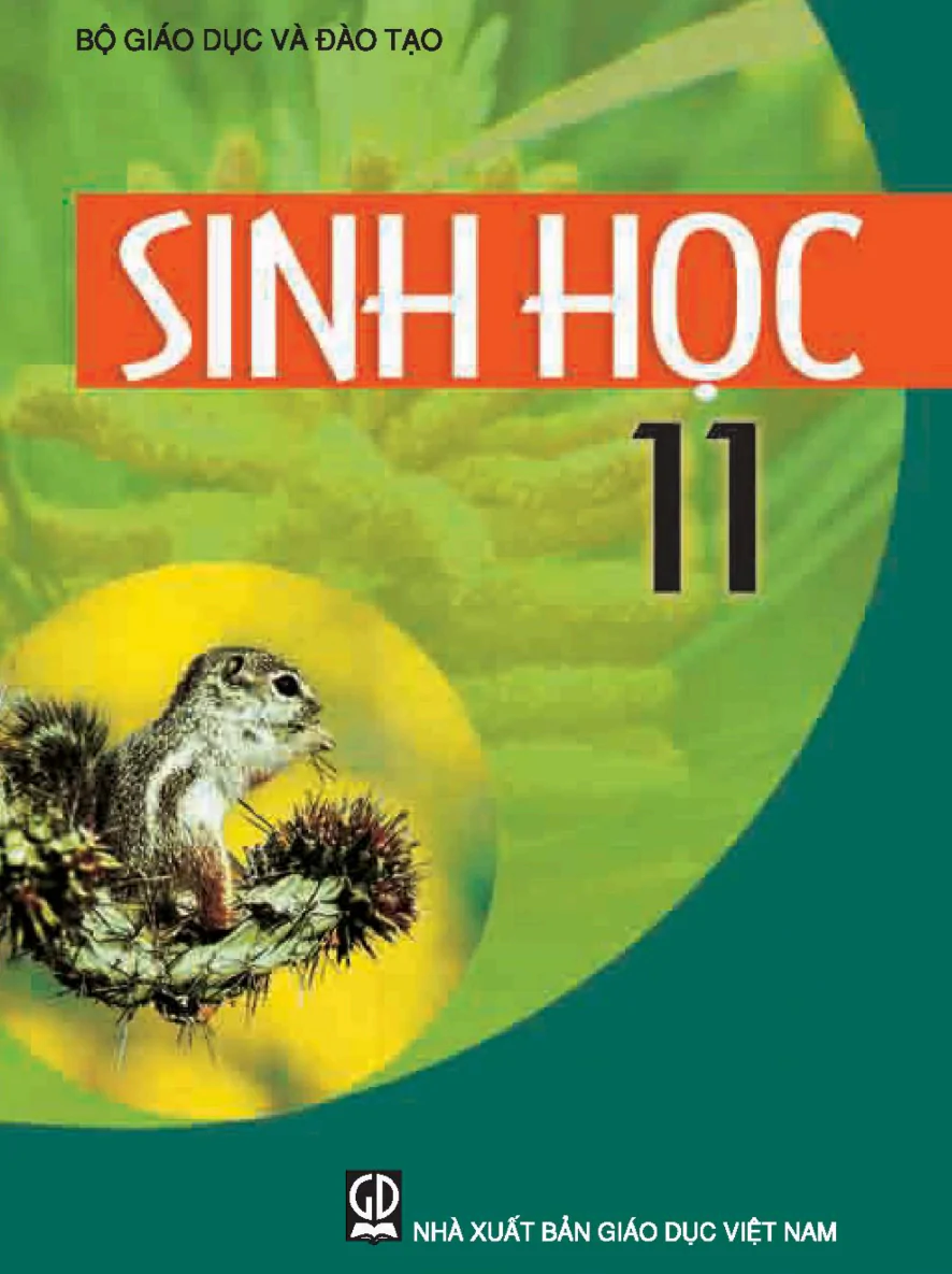 Sinh Học 11