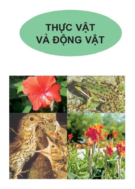 Thực vật và động vật