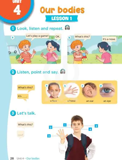 UNIT 4: Our bodies